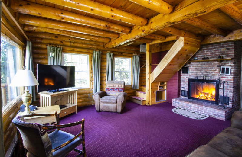 Cabin living room at Trout House Village Resort.