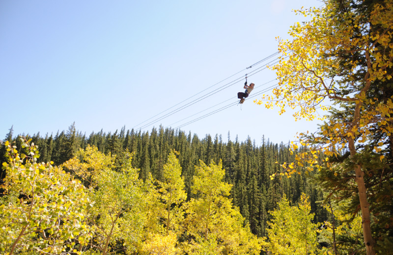 Zipline at Grand Timber Lodge.