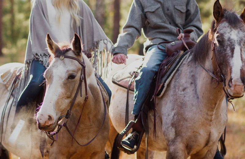 Horse back riding at The Green O.