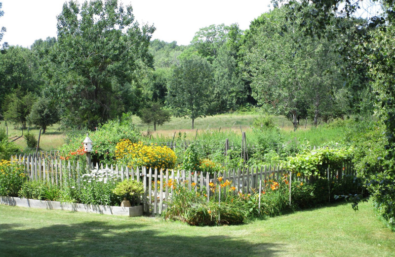 Garden at Brookfield Farm.