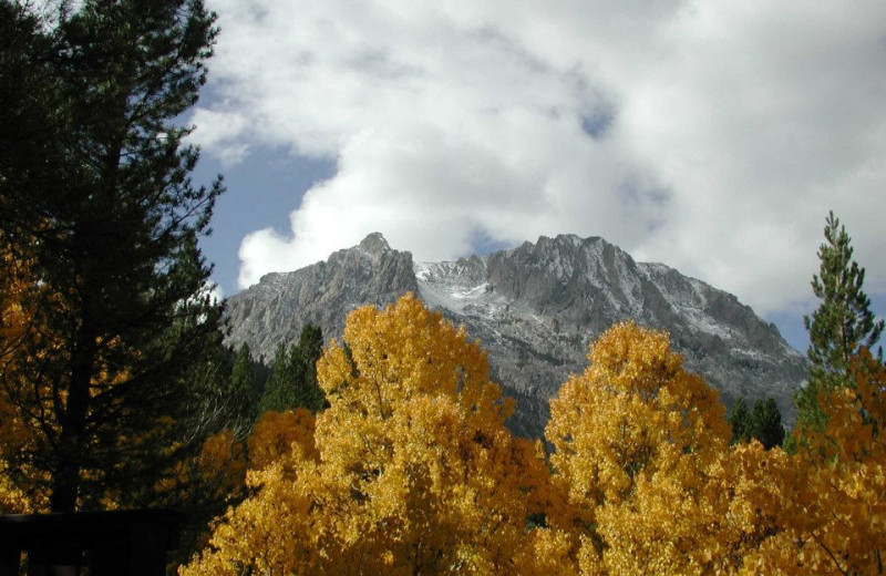 Beautiful view near Reverse Creek Lodge.