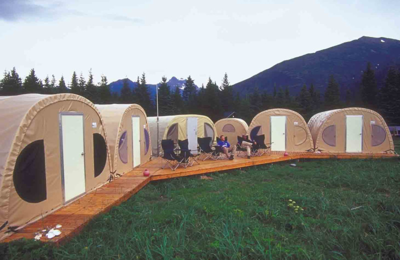 Bear camp tents at Great Alaska Adventure Lodge.