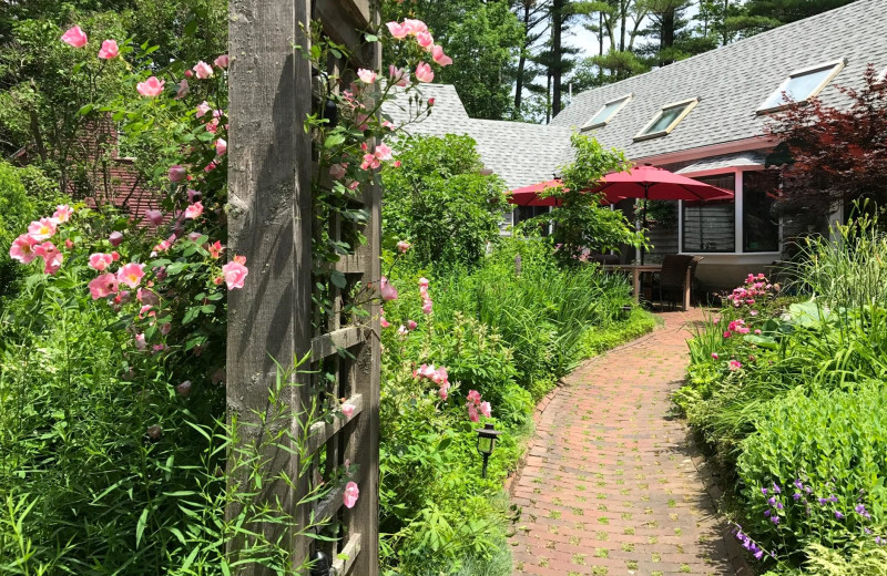 Garden at Morning Glory Inn.