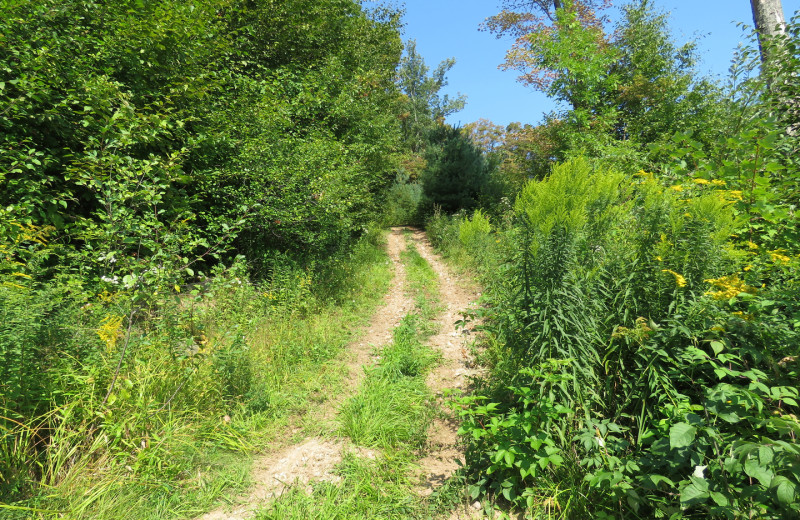 Trail at Tug Hill Resort.