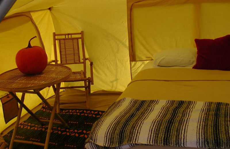 Tent bedroom at The Woods At Bear Creek Glamping Resort.