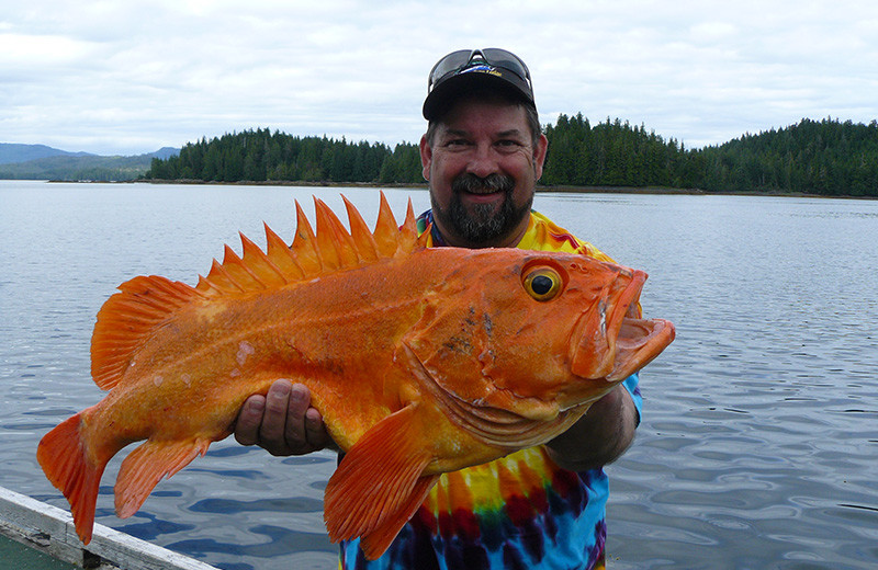 Fishing at portsman's Cove Lodge.