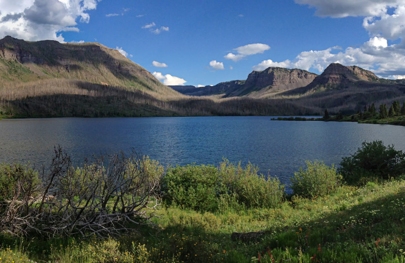 Lake view at Trappers Lake Lodge & Resort