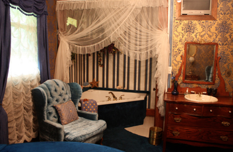 The Blue Lagoon Room jacuzzi at The 1887 Hansen House Bed & Breakfast.