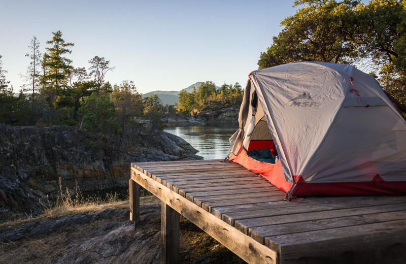 Tent at Orca Camp.