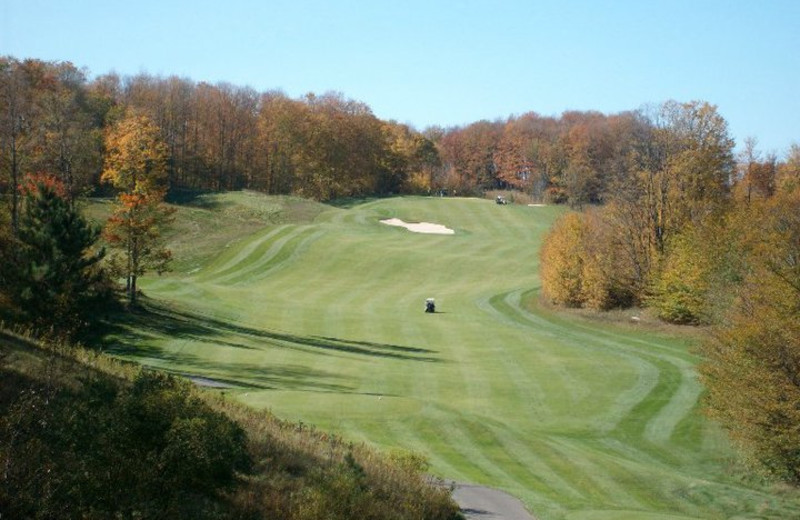 Golf Course at Treetops Resort