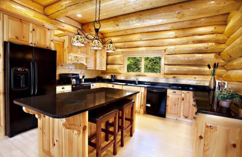 Vacation rental kitchen at Stony Brook Chalets.