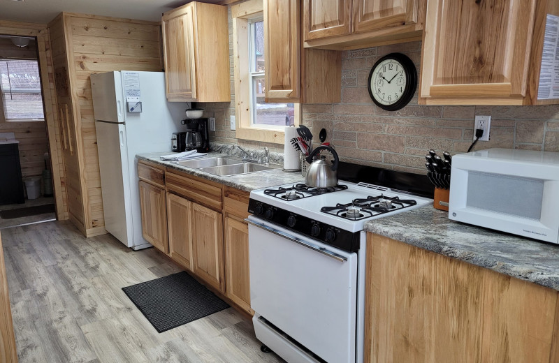 Cabin kitchen at Northern Lights Resort.