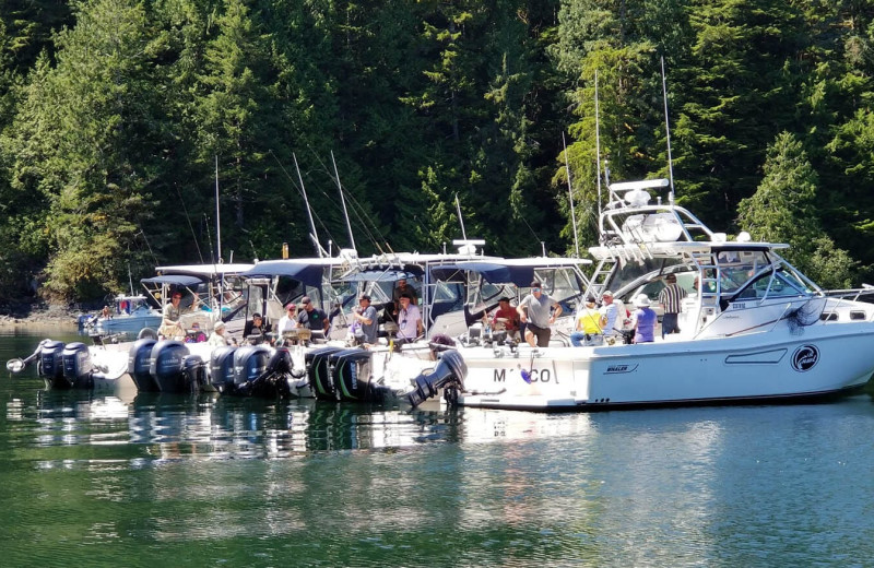 Boats at Nootka Wilderness Lodge.