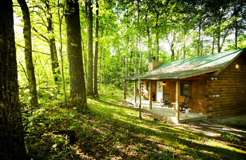 Exterior view of Country Road Cabins.
