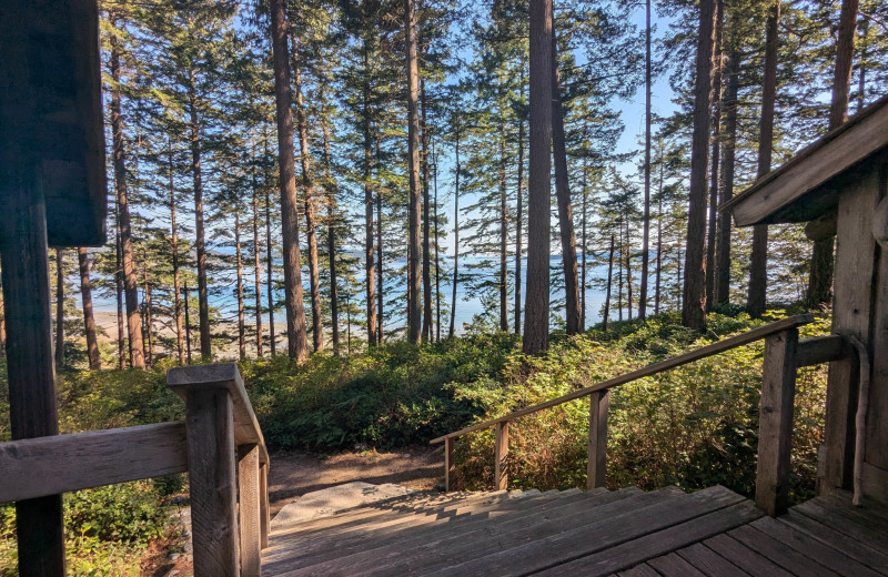 View from  Hollyhock.