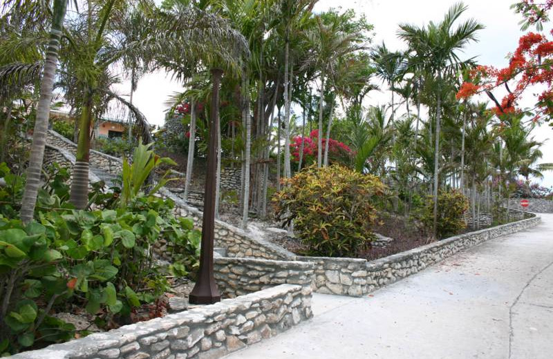 Scenic paths at Orange Hill Beach Inn.