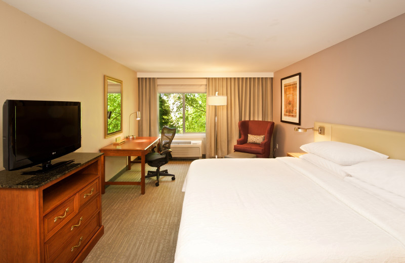 Guest room at Hilton Garden Inn Seattle/Renton.