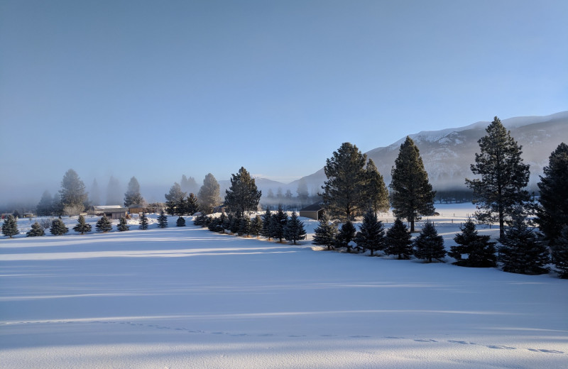 Winter landscape at Kandahar Lodge.