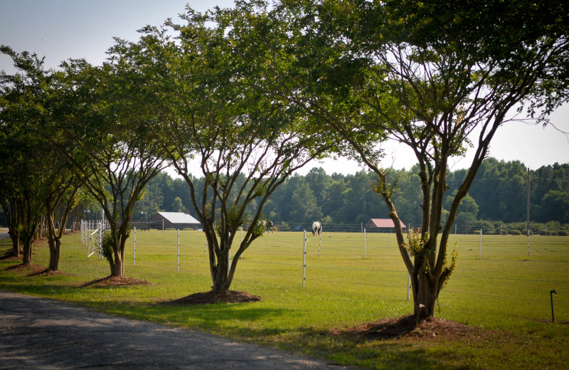 Exterior view of Buckhead Ranch.