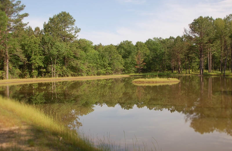 Lake view at Remember When Cabins.