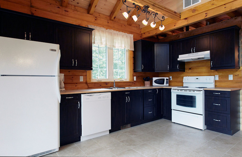 Cabin on the hill kitchen at Fernleigh Lodge.