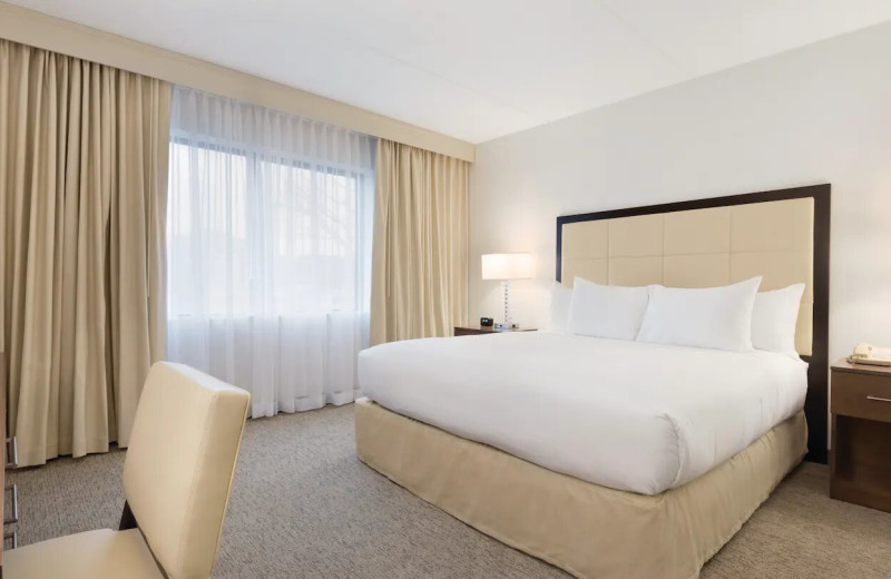 Guest room at Embassy Suites by Hilton Milwaukee Brookfield.