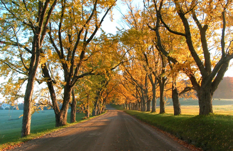 Scenic view near The Wildflower Inn.