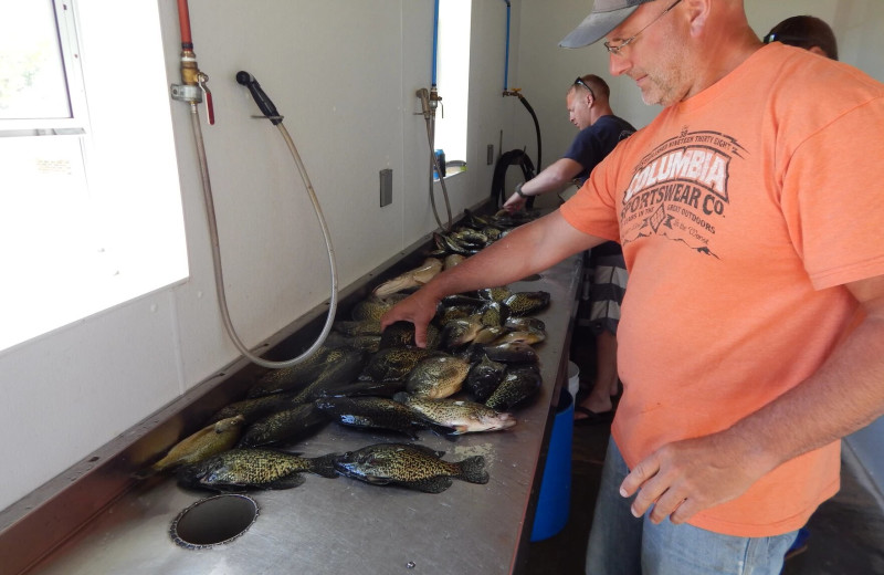 Fish cleaning at Shady Grove Resort.