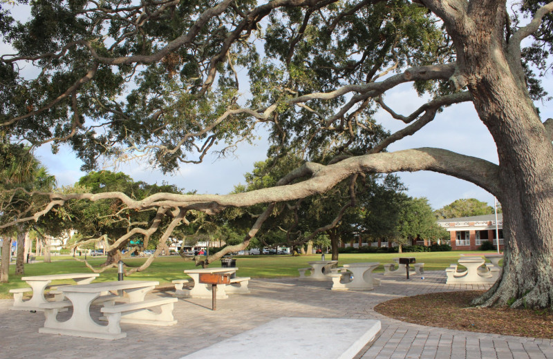 Picnic tables at Ocean Inn & Suites.