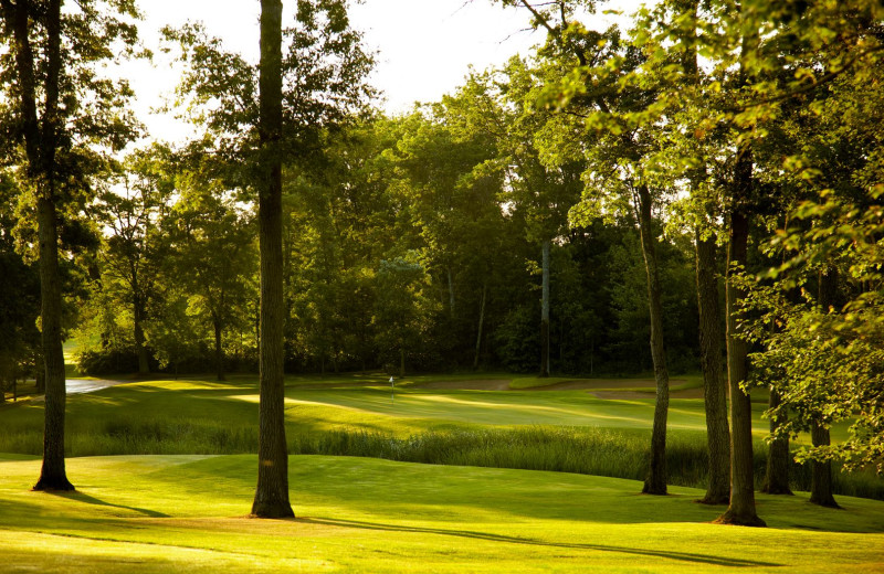 Golf at Cragun's Resort and Hotel on Gull Lake.