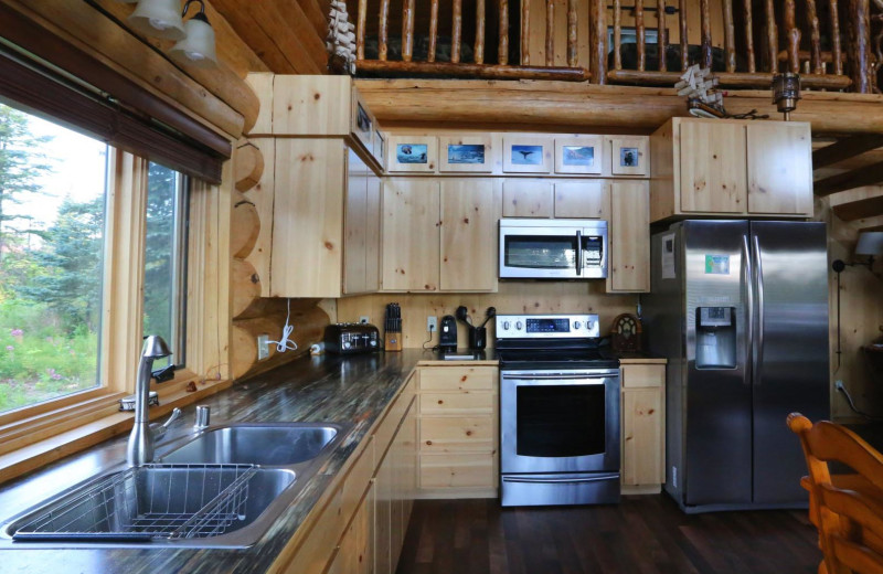 Cabin kitchen at Bear Paw Adventure.