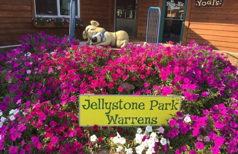 Exterior view of Yogi Bear's Jellystone Park Warrens.