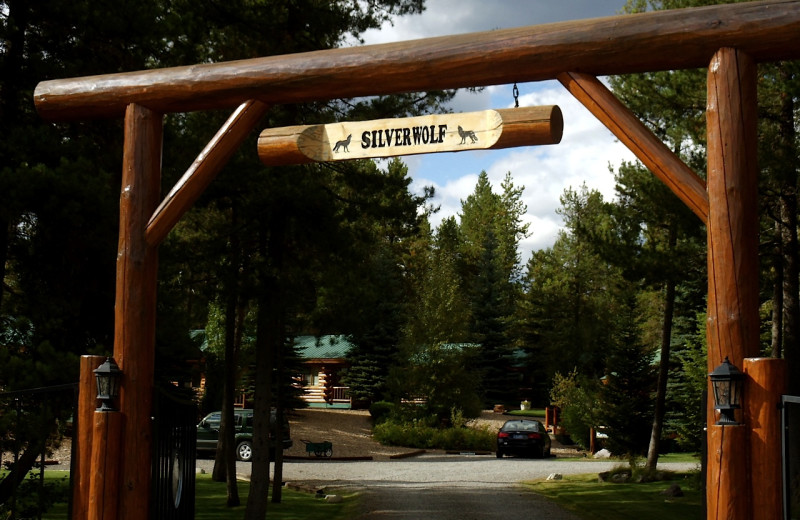 Welcome to Silverwolf Log Chalet Resort.