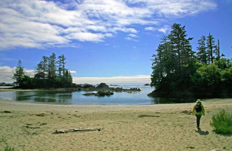 The beach at Clayoquot Wilderness Resort.