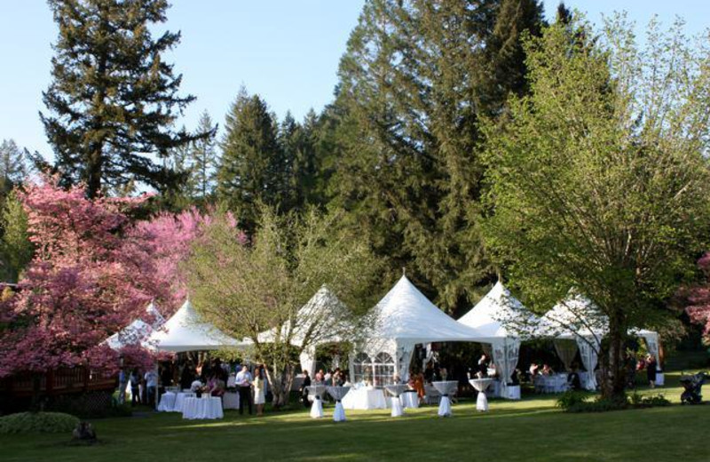 Wedding at The Wayfarer Resort.