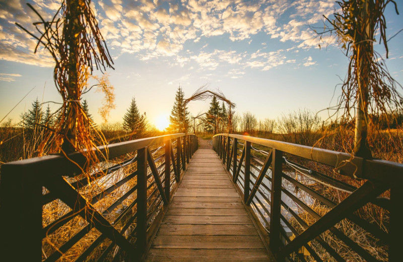 Boardwalk at Superior Shores Resort.