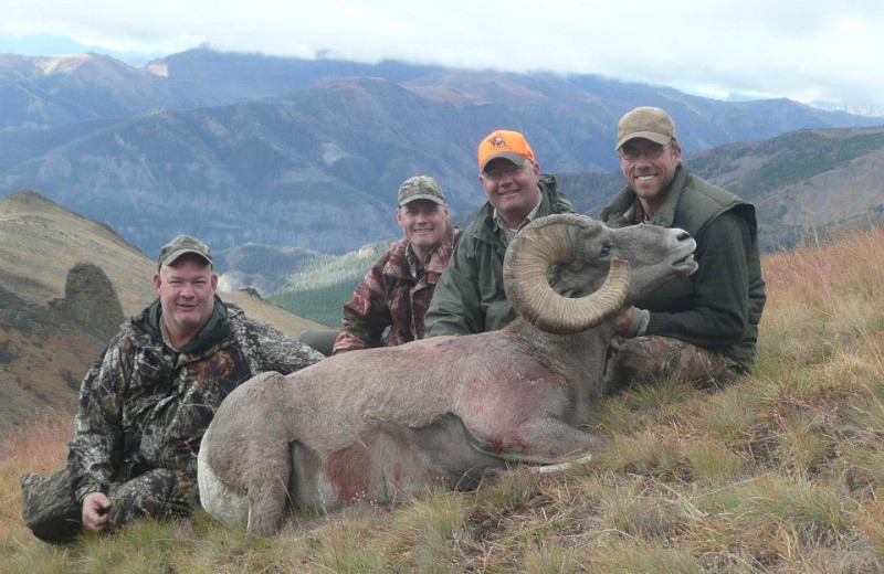 Ram hunting at Shoshone Lodge & Guest Ranch.