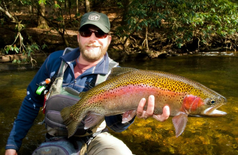 Southern Comfort Cabin Rentals (Blue Ridge, GA) - Resort ...
