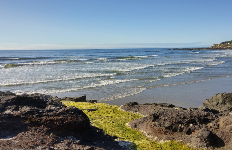 Beach at Adobe Resort.