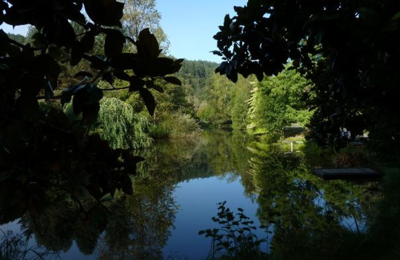 Scenic views at The Wayfarer Resort.