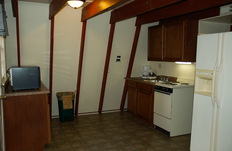 Cabin kitchen at Alpine Lodge Resort.