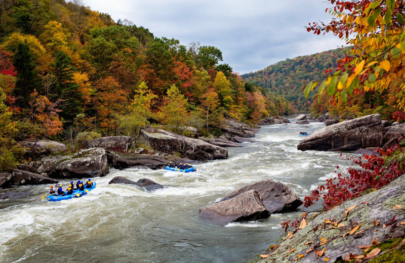 Rafting at ACE Adventure Resort.