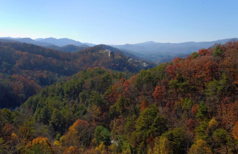 Mountain view at Fireside Chalets & Cabin Rentals.