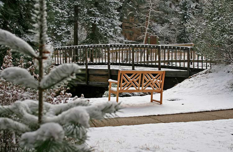 Winter time at Woodlands On Fall River.