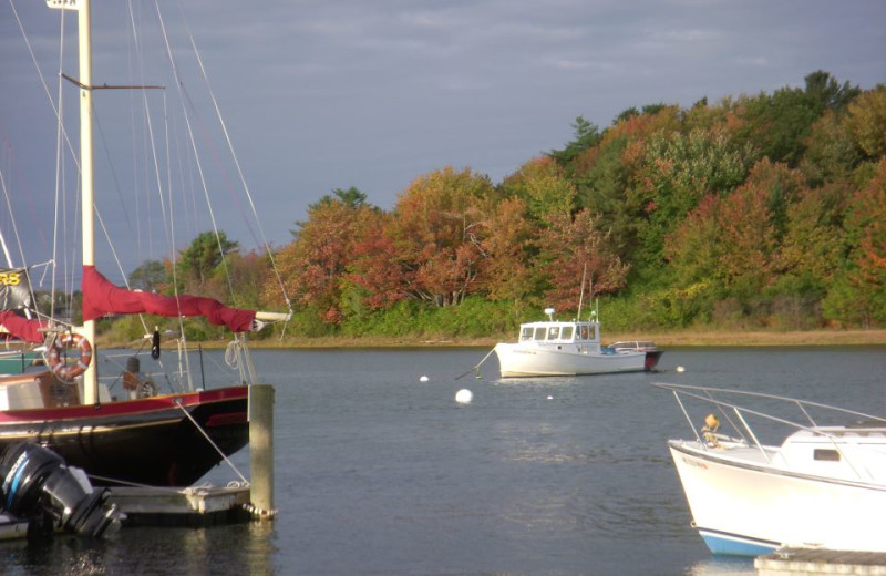 Boats in the Harbor at The Nonantum Resort.
