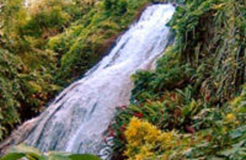 Waterfall at Moxons Beach Club.