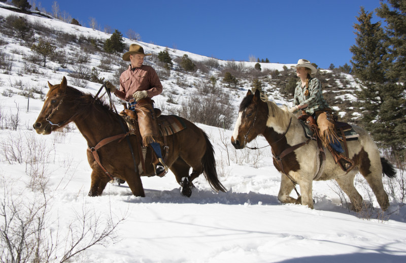 Horseback riding at The Glen Eden Resort.