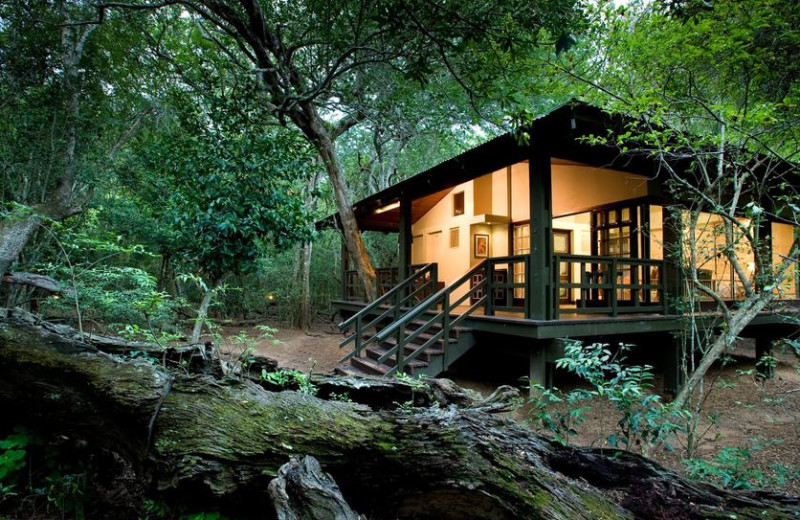 Exterior view of Phinda Private Game Reserve.