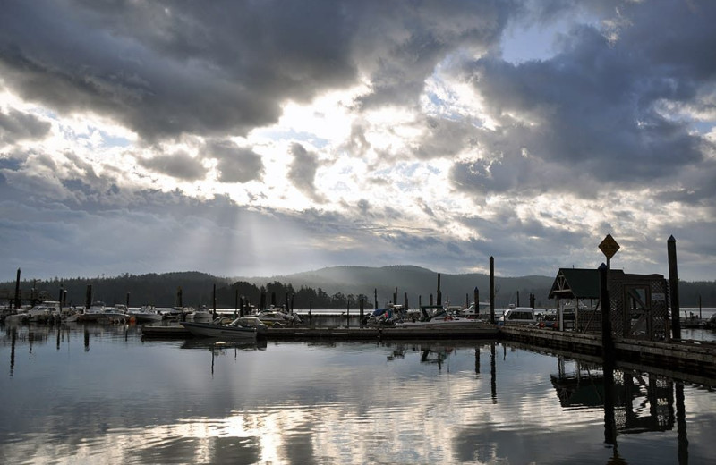 Marina at Sooke Harbour Resort & Marina.