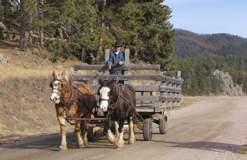 Wagon ride at High Country Guest Ranch.